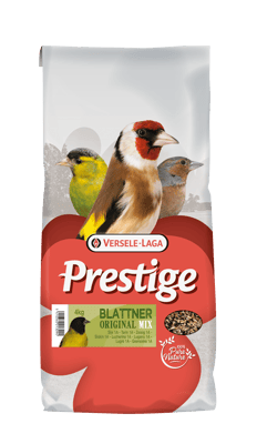 PRESTIGE BLATTNER SISKIN 1 A - LUGANO 4 KG